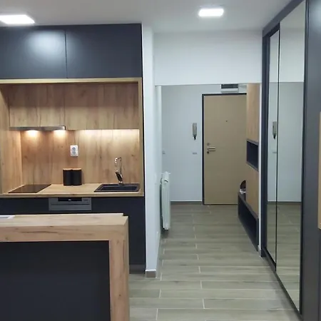 Serbian - 44, Gandijeva 184 Apartment *
