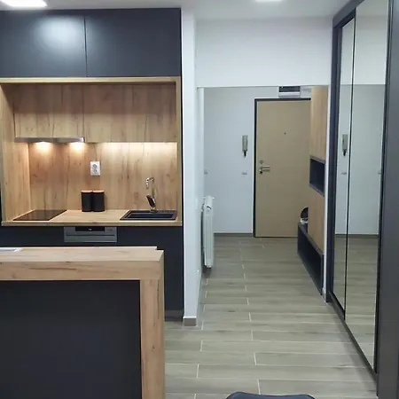 Apartment Serbian - 44, Gandijeva 184