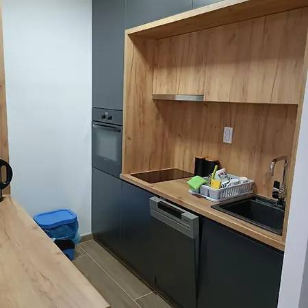 Serbian - 44, Gandijeva 184 Apartment Bezanija