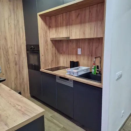 Apartment Serbian - 44, Gandijeva 184 Bezanija