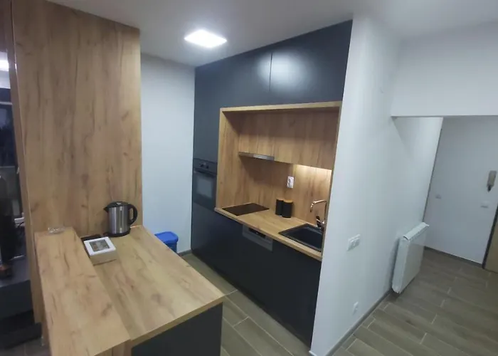 Serbian - 44, Gandijeva 184, Free Parking Bezanija