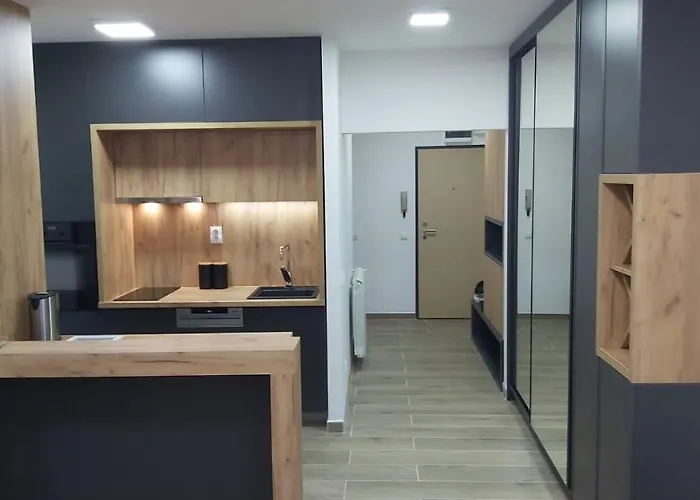 Serbian - 44, Gandijeva 184, Free Parking Apartman *