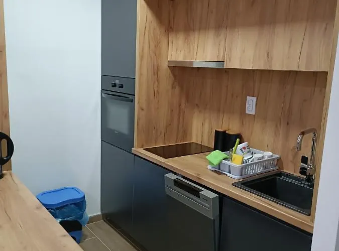 Serbian - 44, Gandijeva 184, Free Parking Apartman Bezanija