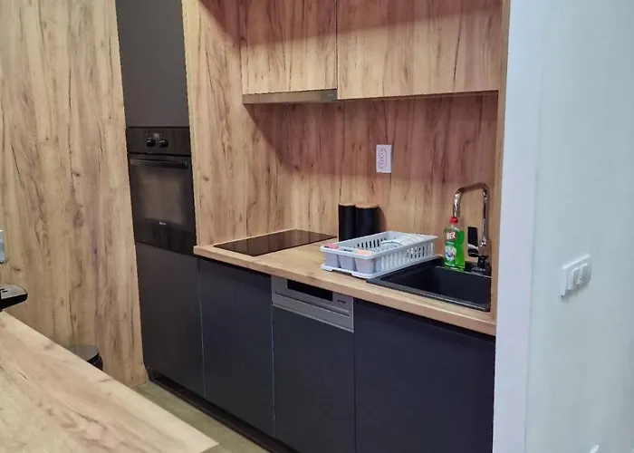 Apartman Serbian - 44, Gandijeva 184, Free Parking Bezanija