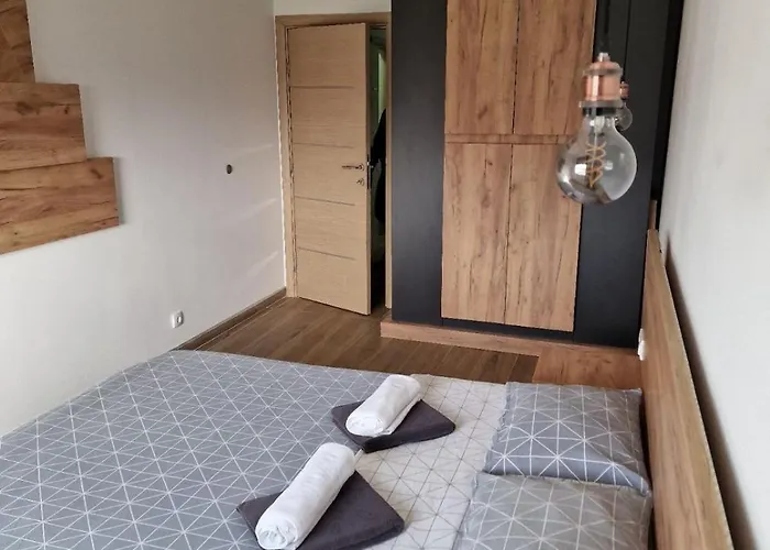 Apartman Serbian - 44, Gandijeva 184, Free Parking Bezanija